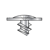 Modified truss screw head