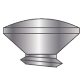 Oval screw head